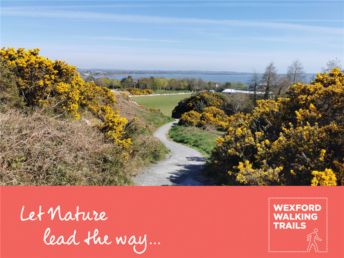 View form the Rocks across Wexford Harbour, Wexford walking trail logo